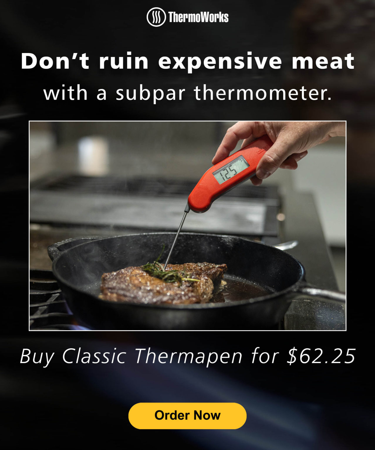 Update New Stacking Coupon ThermoWorks Classic Thermapen 56 Best 