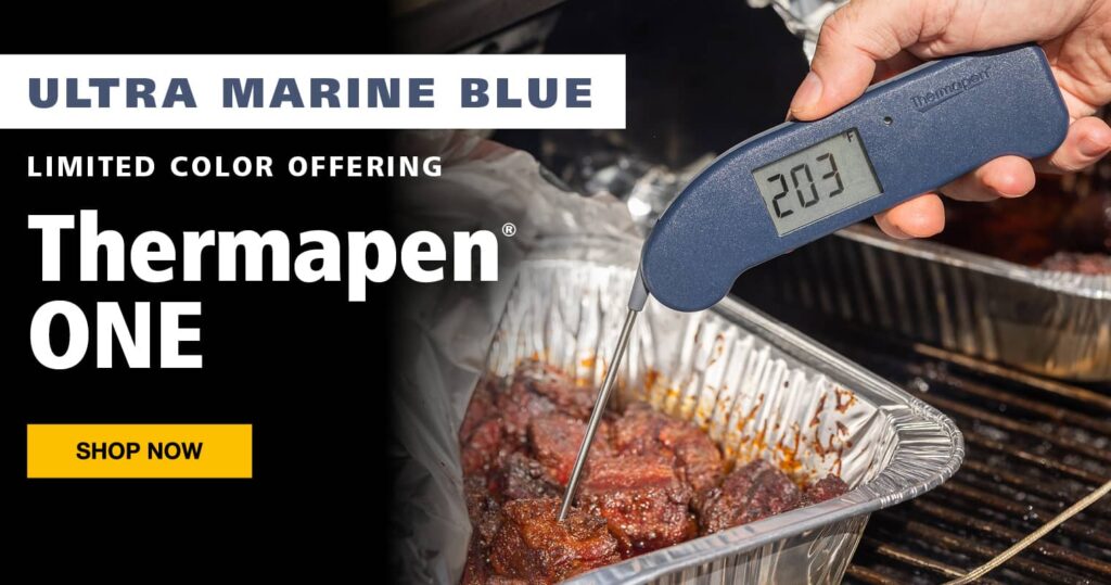 thermapen one